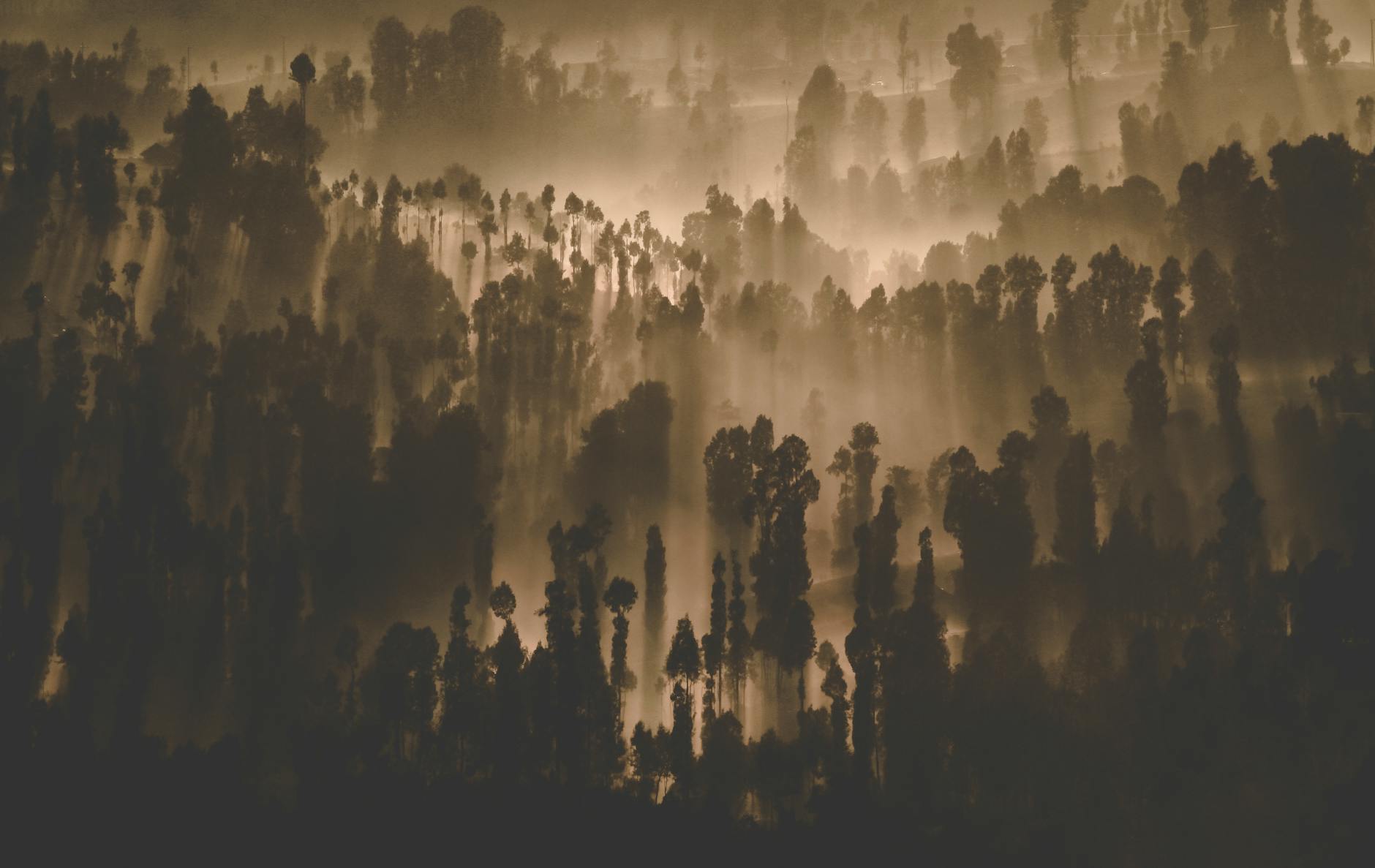 maatschappelijk werk